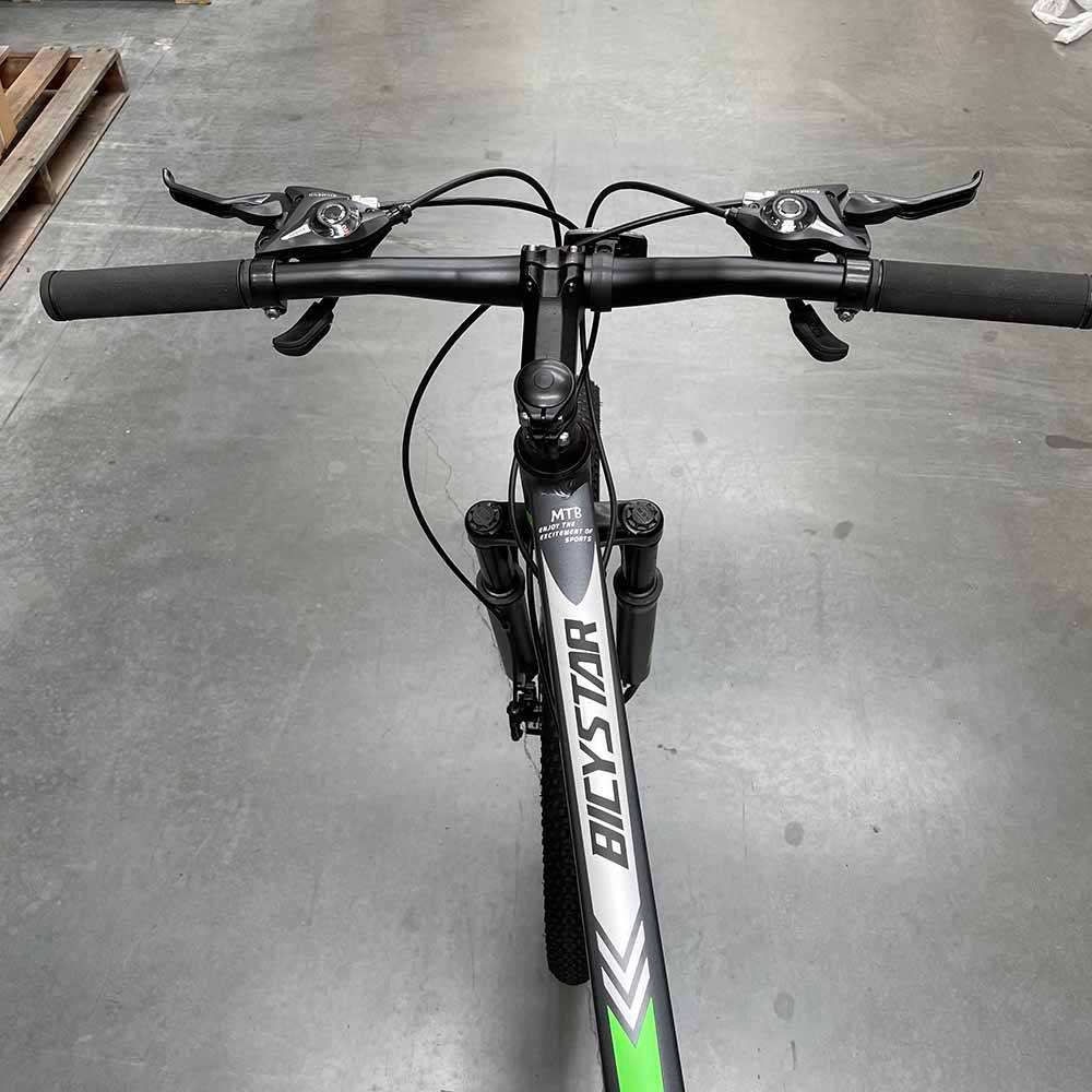 Bicystar bike online review