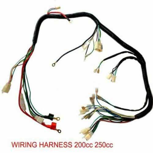 QUAD WIRING HARNESS 200 250cc Chinese Electric start Loncin Zongshen Ducar Lifan - TDRMOTO